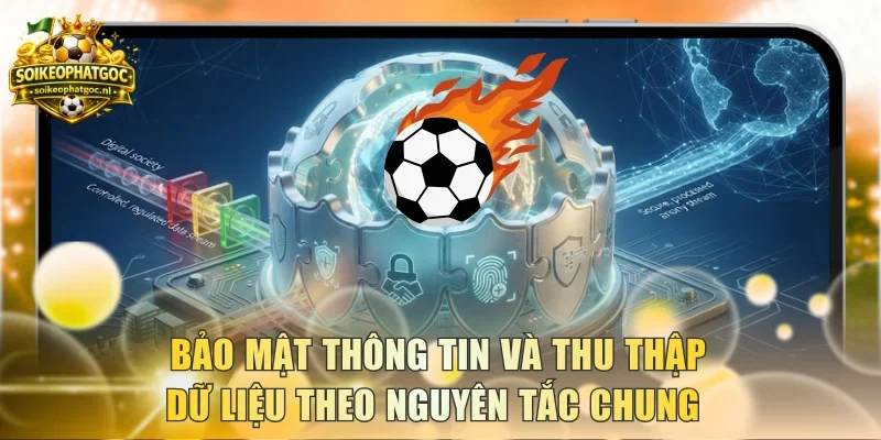 Bảo mật thông tin và thu thập dữ liệu theo nguyên tắc chung